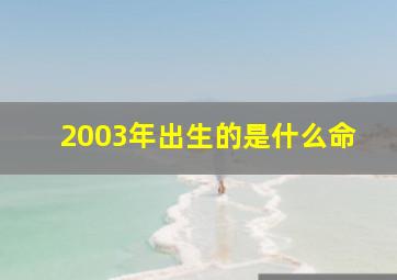 2003年出生的是什么命