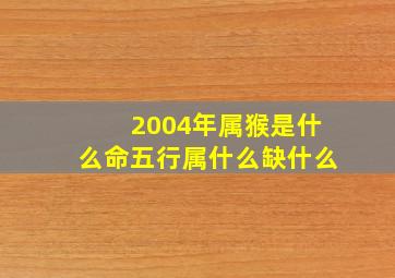 2004年属猴是什么命五行属什么缺什么