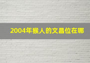 2004年猴人的文昌位在哪