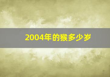 2004年的猴多少岁