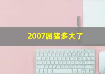 2007属猪多大了