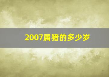 2007属猪的多少岁