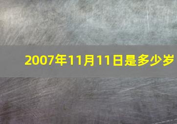 2007年11月11日是多少岁