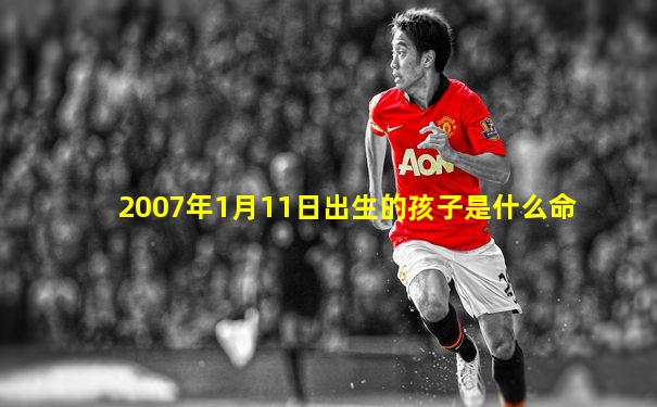 2007年1月11日出生的孩子是什么命