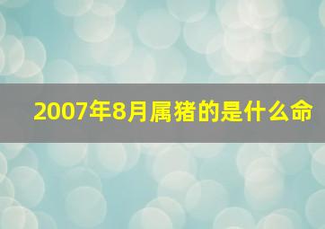 2007年8月属猪的是什么命