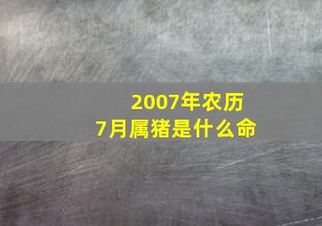 2007年农历7月属猪是什么命