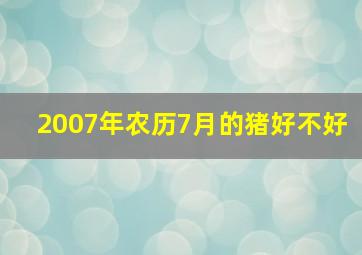 2007年农历7月的猪好不好