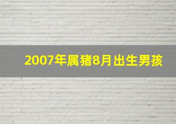 2007年属猪8月出生男孩