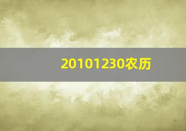 20101230农历