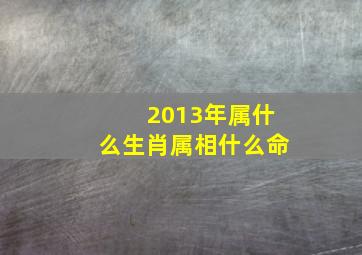 2013年属什么生肖属相什么命