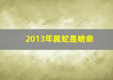 2013年属蛇是啥命