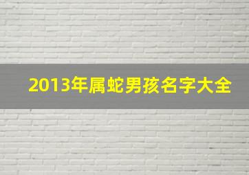 2013年属蛇男孩名字大全