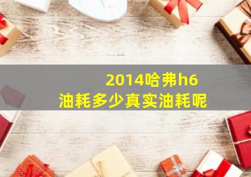 2014哈弗h6油耗多少真实油耗呢