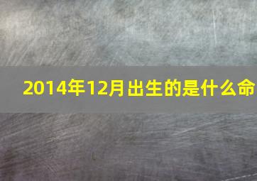 2014年12月出生的是什么命