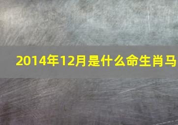 2014年12月是什么命生肖马