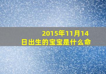 2015年11月14日出生的宝宝是什么命