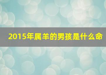 2015年属羊的男孩是什么命