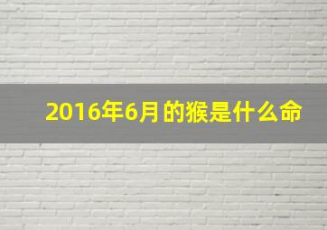 2016年6月的猴是什么命