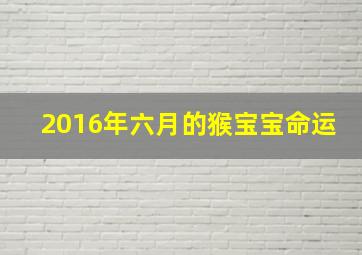 2016年六月的猴宝宝命运