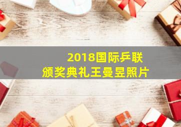 2018国际乒联颁奖典礼王曼昱照片