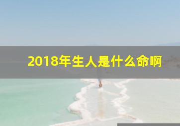 2018年生人是什么命啊