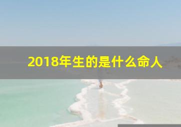 2018年生的是什么命人