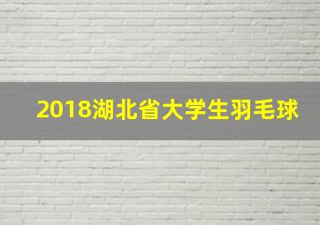 2018湖北省大学生羽毛球