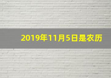 2019年11月5日是农历