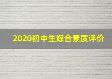 2020初中生综合素质评价