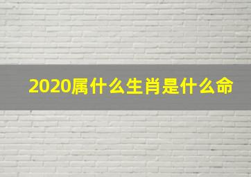 2020属什么生肖是什么命