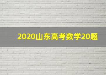 2020山东高考数学20题