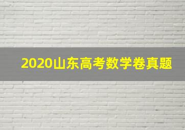 2020山东高考数学卷真题