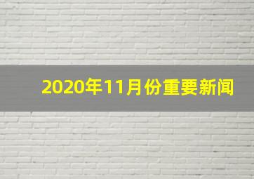 2020年11月份重要新闻