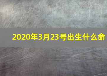 2020年3月23号出生什么命