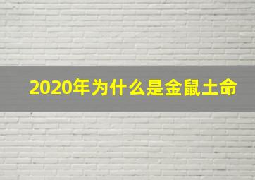 2020年为什么是金鼠土命