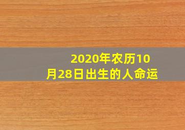 2020年农历10月28日出生的人命运