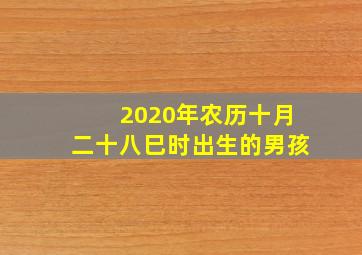 2020年农历十月二十八巳时出生的男孩