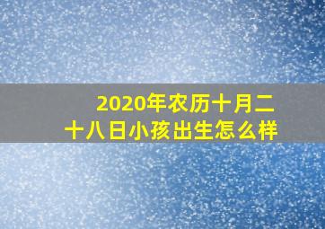 2020年农历十月二十八日小孩出生怎么样