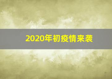 2020年初疫情来袭