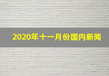 2020年十一月份国内新闻