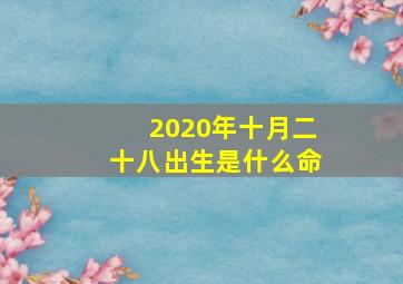 2020年十月二十八出生是什么命