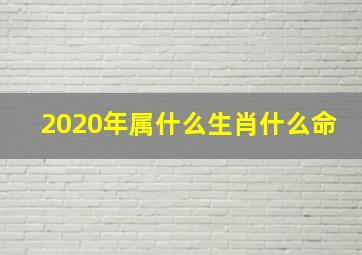 2020年属什么生肖什么命