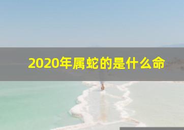 2020年属蛇的是什么命