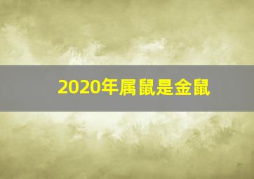 2020年属鼠是金鼠