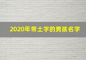 2020年带土字的男孩名字