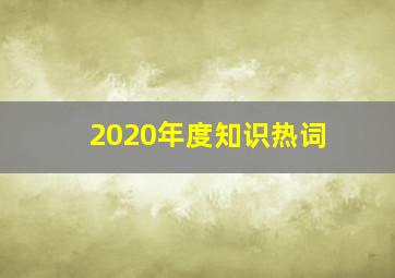 2020年度知识热词