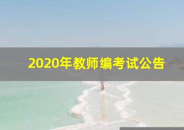 2020年教师编考试公告