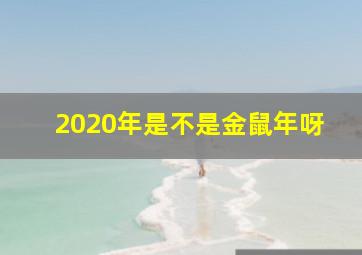 2020年是不是金鼠年呀