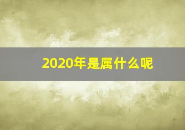 2020年是属什么呢