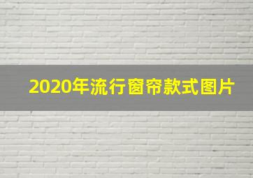 2020年流行窗帘款式图片